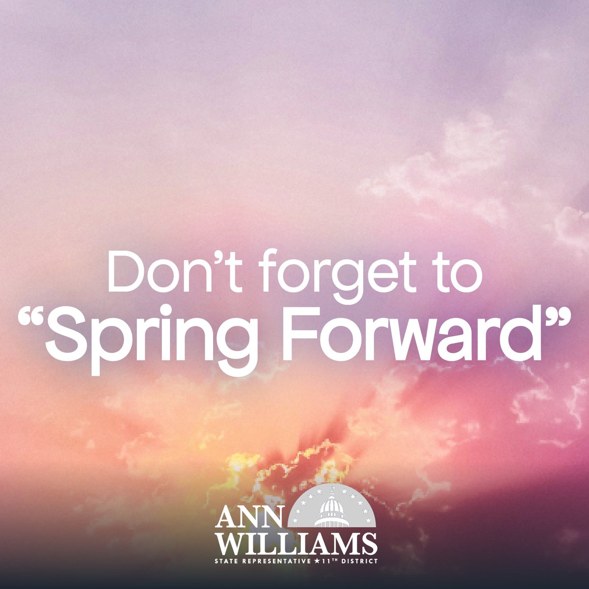 Rep. Ann Williams tweet media