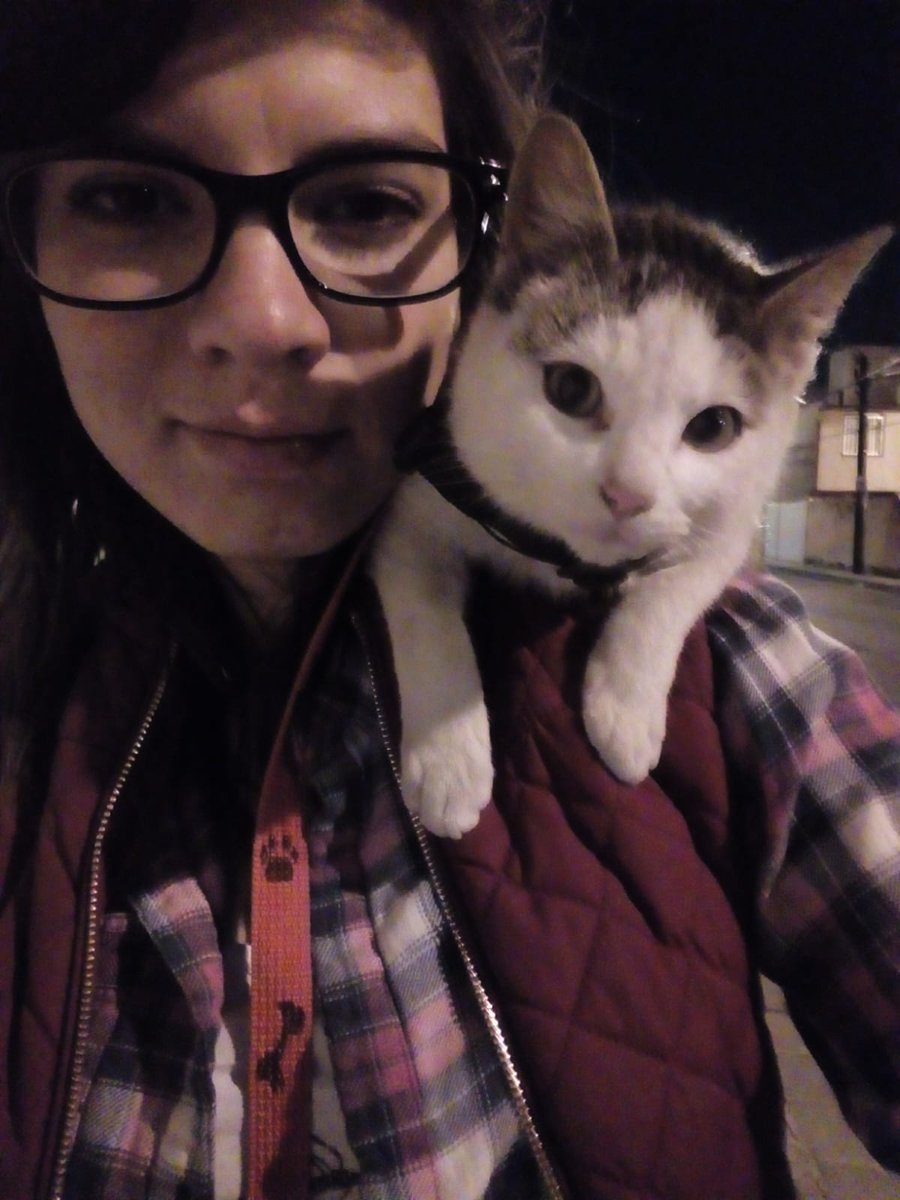 E.l.y.e. tweet media