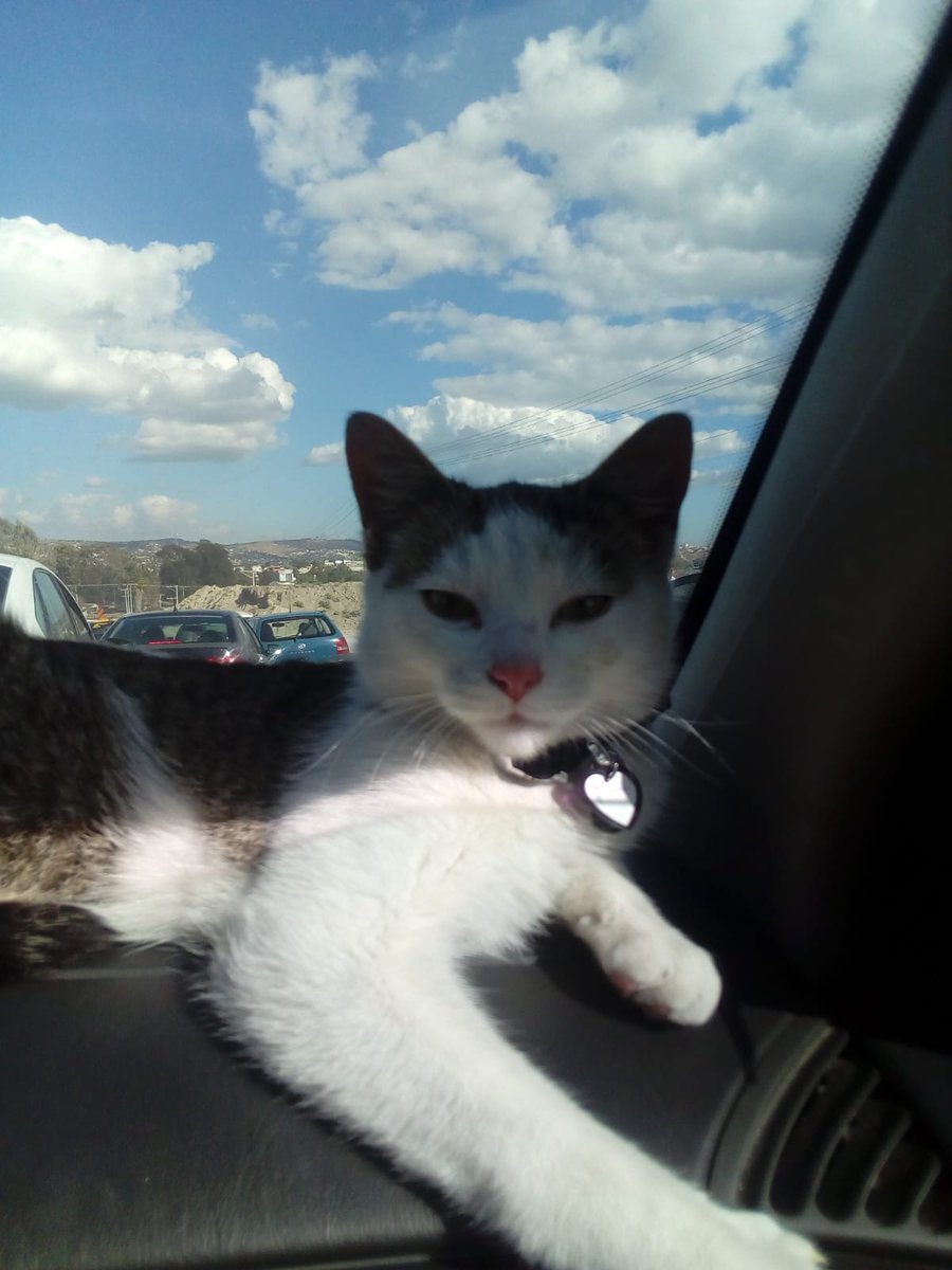 E.l.y.e. tweet media