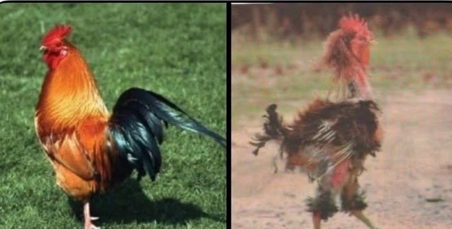 Instagram girls profile pic.    And when you check their page