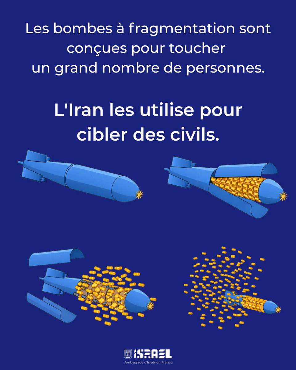 Ambassade d'Israël en France tweet media