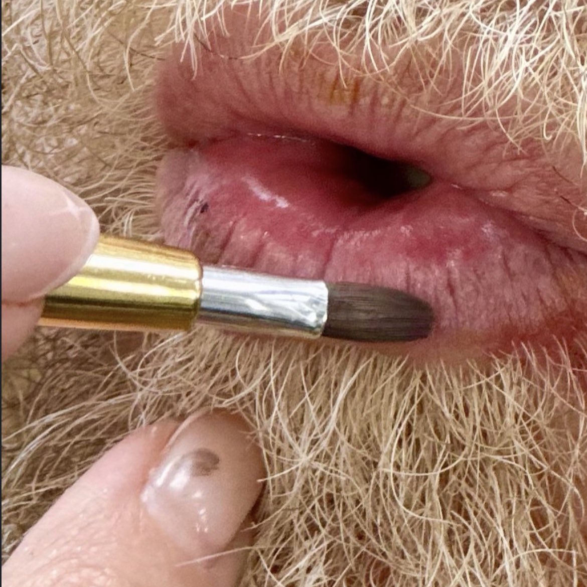 minerva catter tweet media