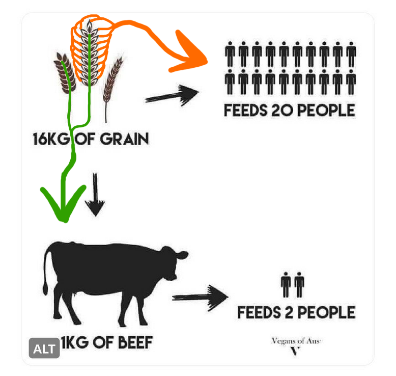 ᛒᚤᚾᚾL∈ tweet media