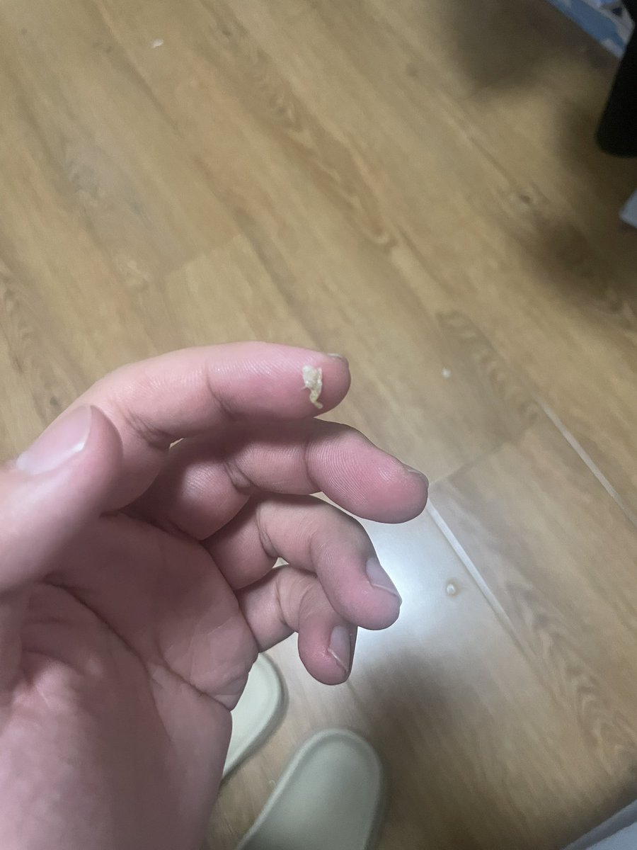 恶犬要努力 tweet media