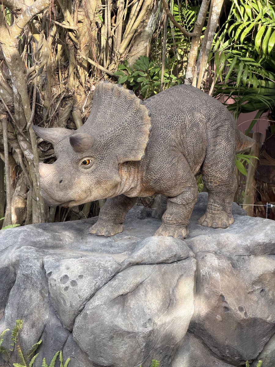 やっくん.com🇯🇵🇺🇦 tweet media