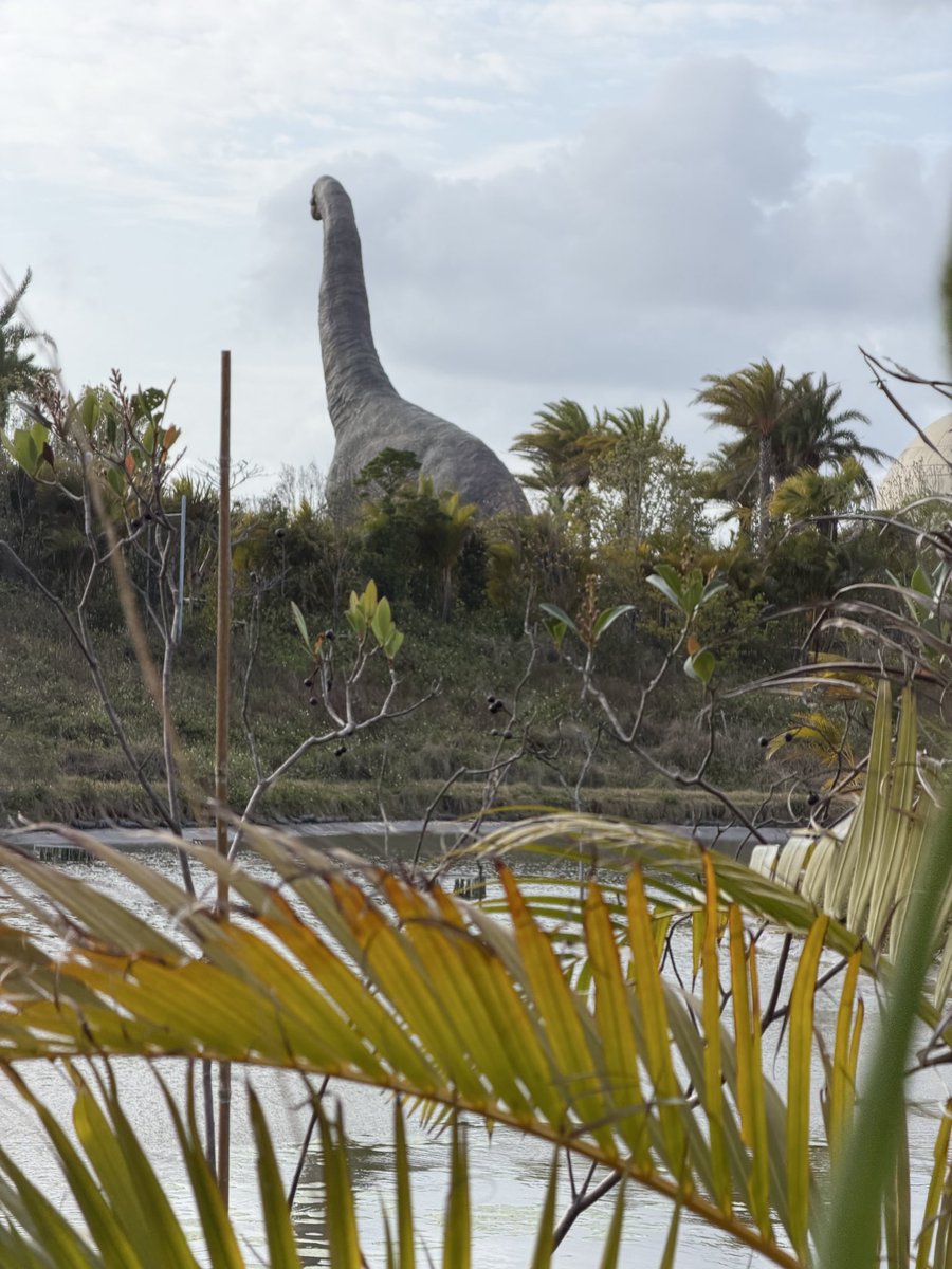 やっくん.com🇯🇵🇺🇦 tweet media