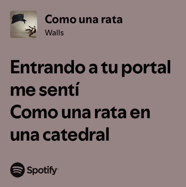 𝐚𝐢𝐧𝐡𝐨𝐚 ོ☼ tweet media