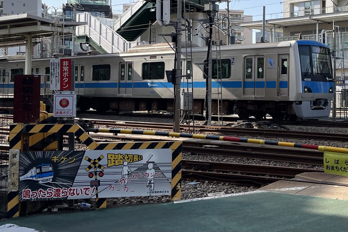 bear_OER's tweet photo. 鳴ったら渡らないで https://t.co/fwQxsuYem3