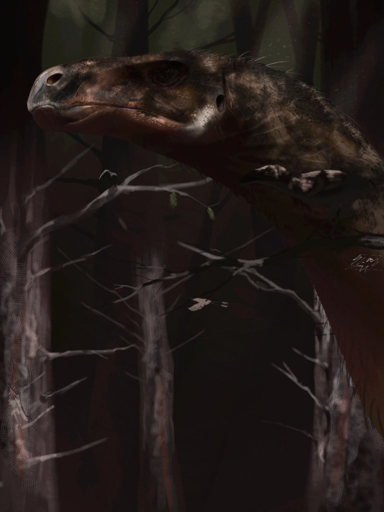 🦖SALMON🇻🇳 tweet media