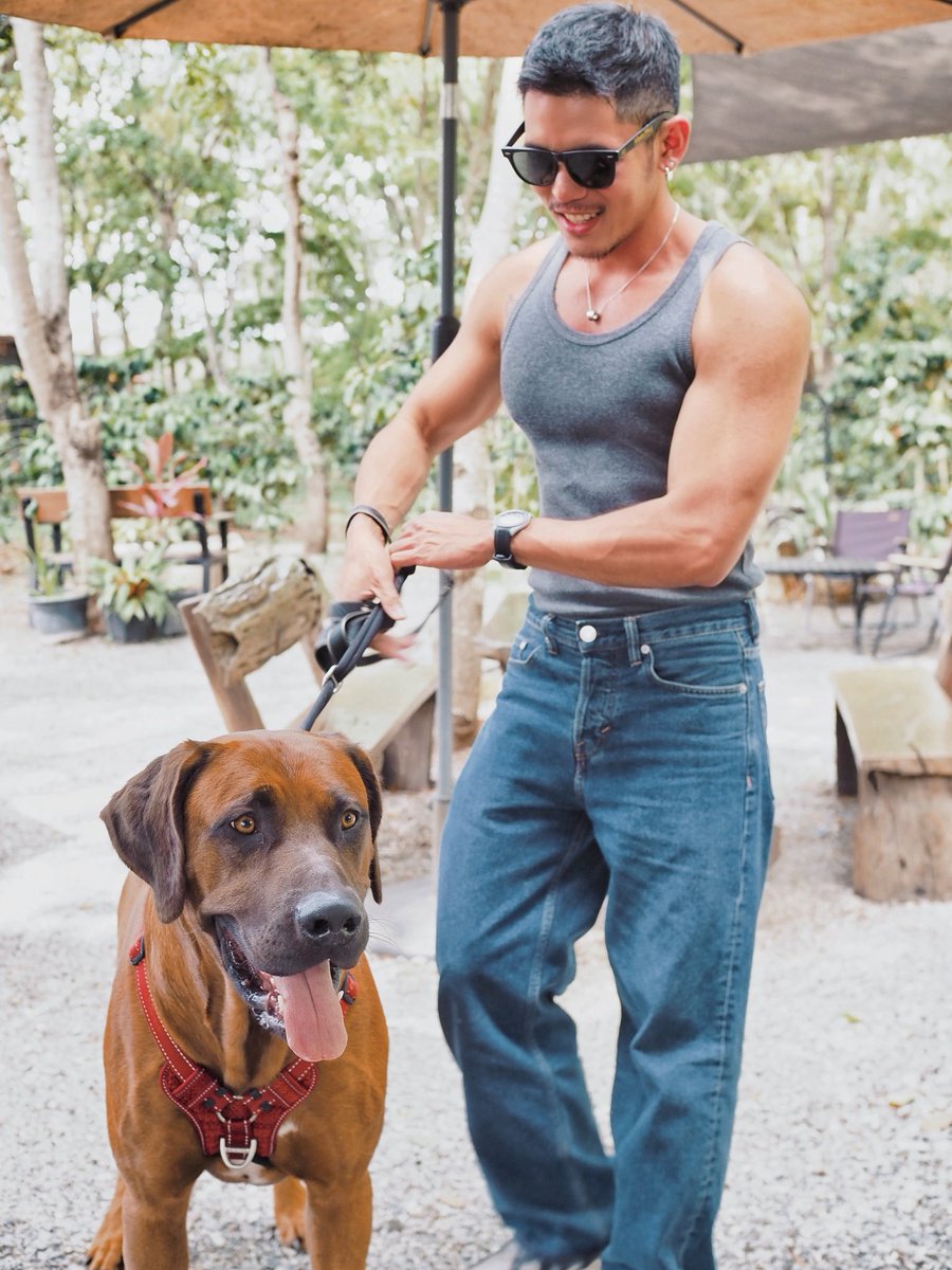 Didthana tweet media