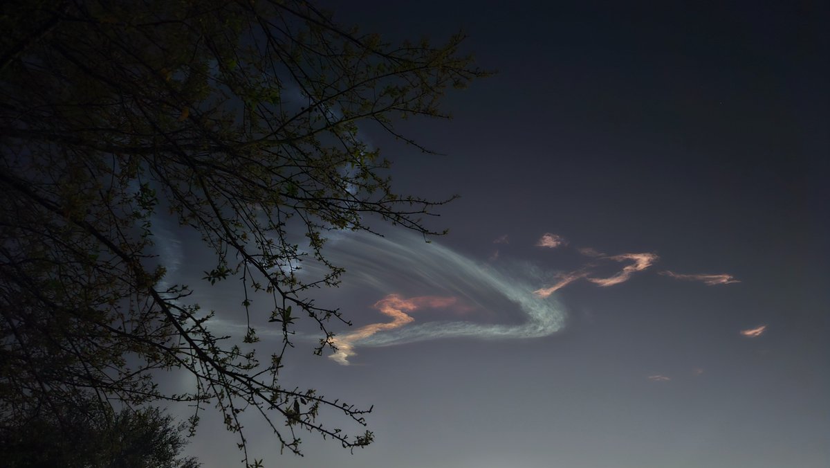 Julia Bergeron tweet media