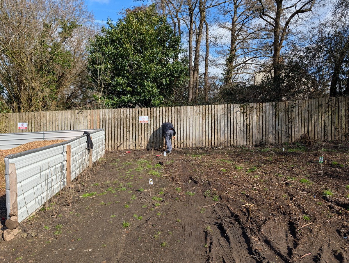 BGandTorfaenLNP tweet media