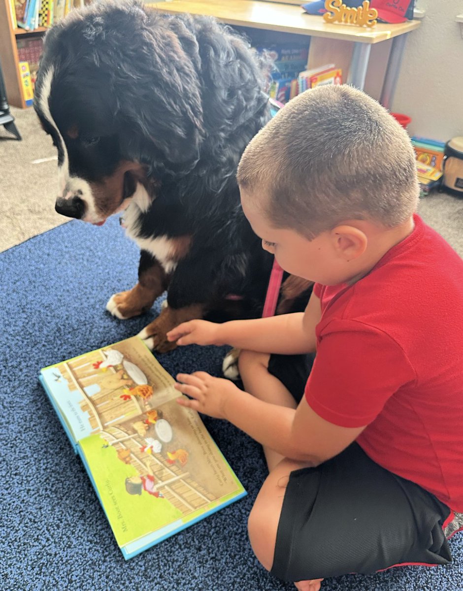 Lisa Bain Ministries tweet media