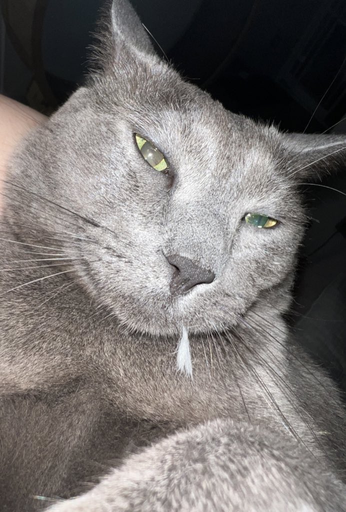 프리라떼주인 tweet media