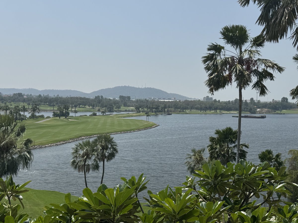 Rex Tattersall tweet media