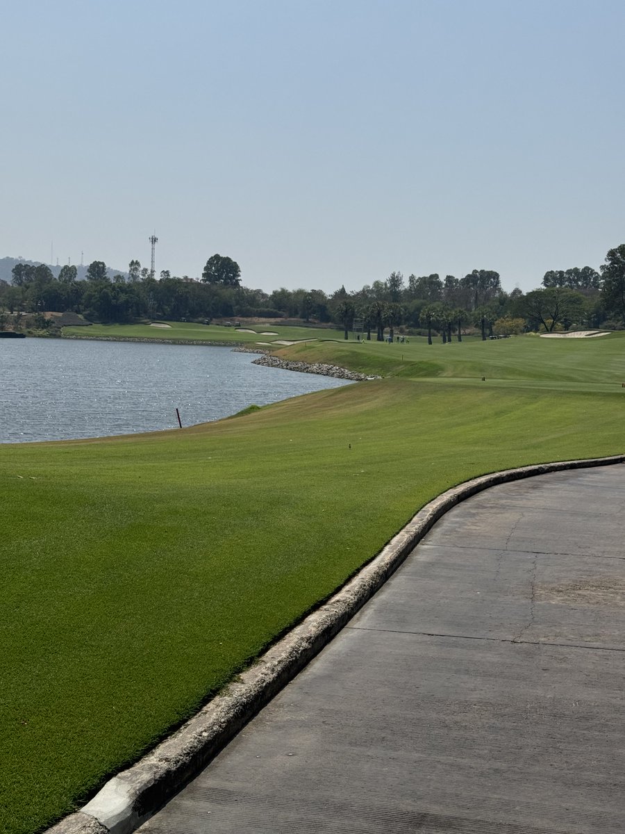 Rex Tattersall tweet media