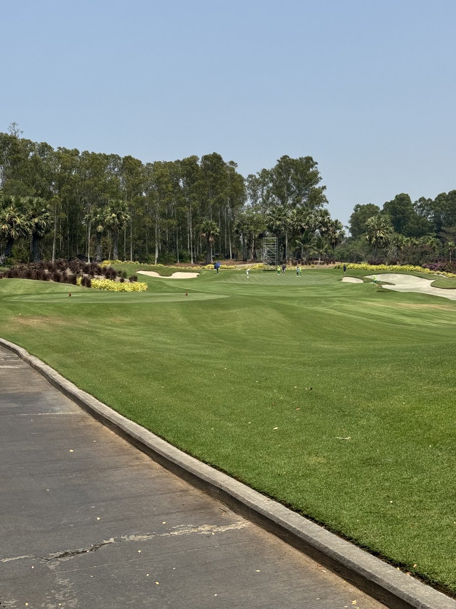 Rex Tattersall tweet media