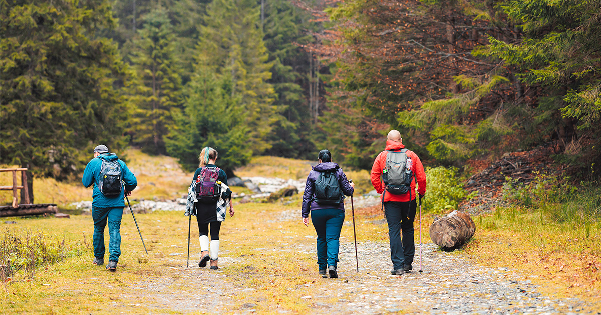 ExExpeditionsUK's tweet photo. One wants the hike. One wants the spa. One just wants peace and quiet. 🌿 

Group travel planning doesn't have to end in compromise. Here's how to get it right🌍

Read our full guide here 👉 https://t.co/e6dZGkLuJZ

#expedition #grouptravel #adventure https://t.co/sK2aHd8CTF