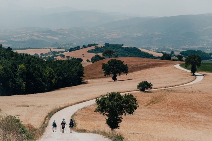 In viaggio con i Cappuccini
#CamminoDeiCappuccini #MarcheTourism #SanFrancesco800 #TurismoLento #TrekkingItalia #ViaggioSpirituale
agendaviaggi.com/in-viaggio-con…
Photo courtesy of Ufficio Stampa Il Cammino dei Cappuccini, The Gate Communication