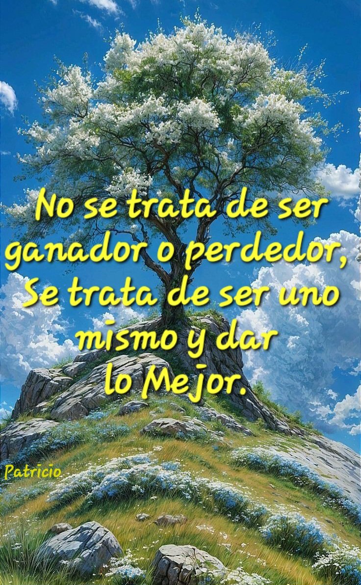 Patricio -- 😎 tweet media