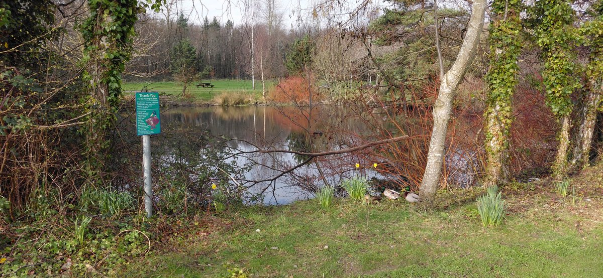 Carl O'Neill tweet media