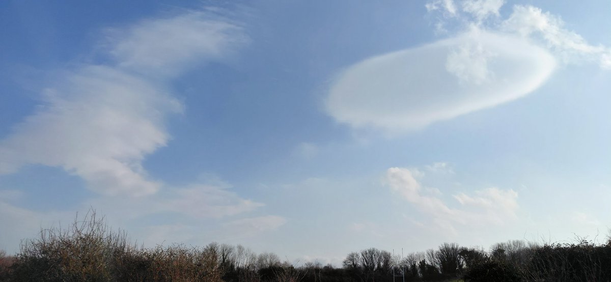 Carl O'Neill tweet media