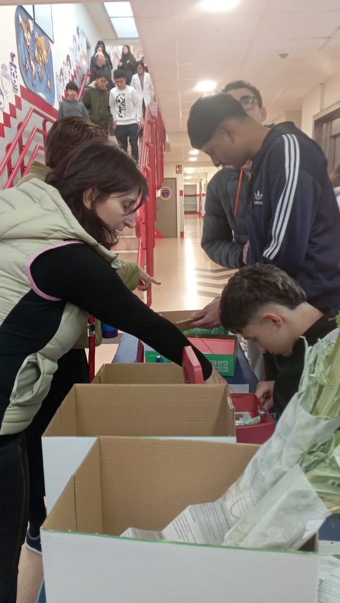 IES Barañáin tweet media