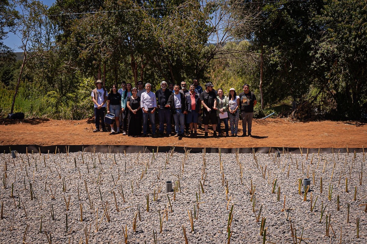 U. del Bío-Bío tweet media