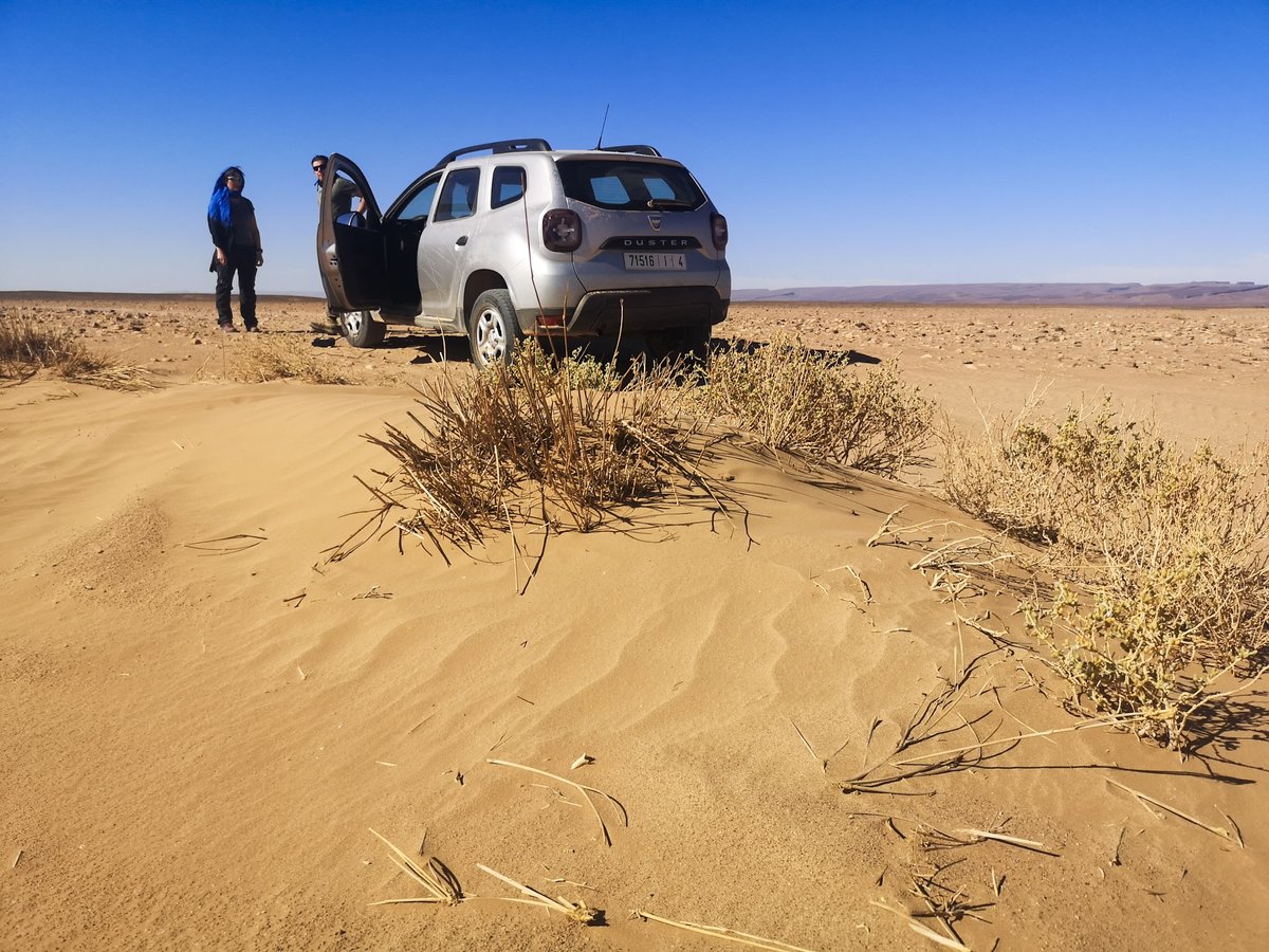 floW_motion's tweet photo. 280 Kilometer Piste - Sand und Geröll. Und das mit 2 frontgetriebenen Dustern. Geht. Aber war auch anstrengend, denn so manches mal musste ausgegraben oder rausgeschleppt werden. War trotzdem super. 
#overlanding #daciaduster #wüstenabenteuer #offroadreisen #expedition https://t.co/ULWD2ynVlM