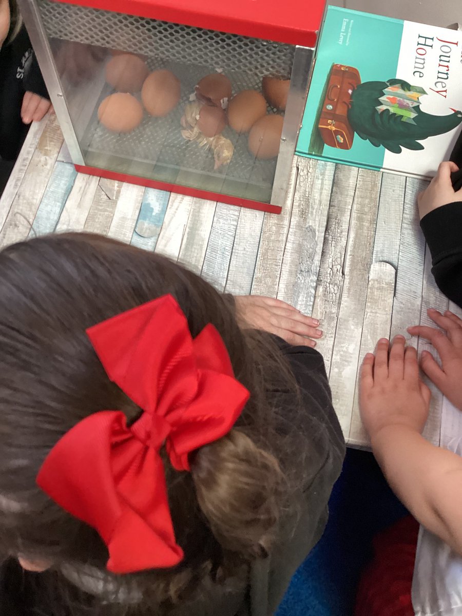 Mrs Bibby tweet media