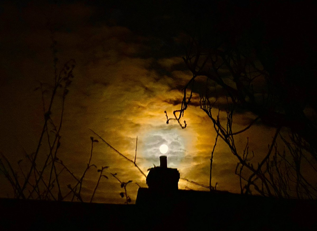 Mick Fitzgerald tweet media