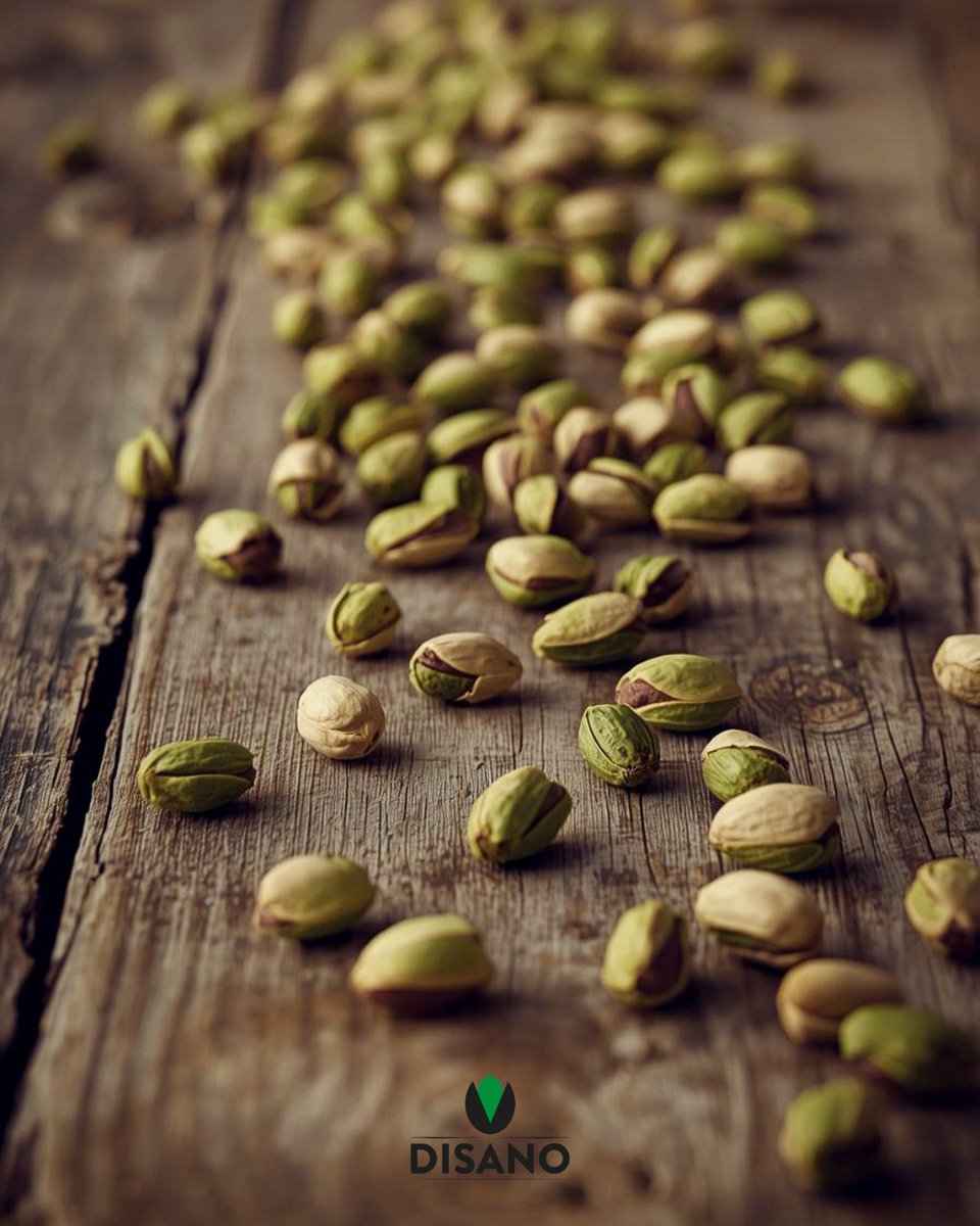 prodottidisano's tweet photo. Il Pistacchio Disano rappresenta lo standard d'eccellenza per i professionisti del settore.
#PistacchioDisano #AltaPasticceria #GelateriaArtigianale https://t.co/qpAf4Fmf9g