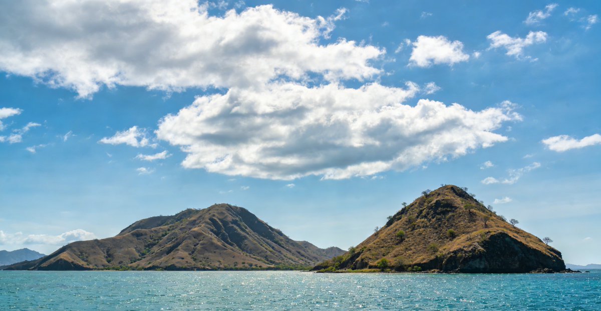 scapevoyager's tweet photo. Komodo Island on a Budget: Full Price Breakdown — High Season vs Low Season
If you’ve dreamed of standing face to face with the legendary Komodo dragons, swimming with manta rays, stepping on pink sand beaches, and watching sunrise from the iconic Padar...
https://t.co/lIAA3VlnEv https://t.co/RwEGD5sS5M