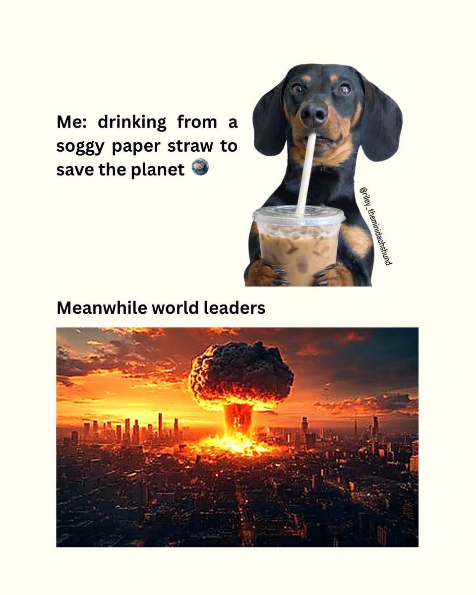 Wehrhamster tweet media