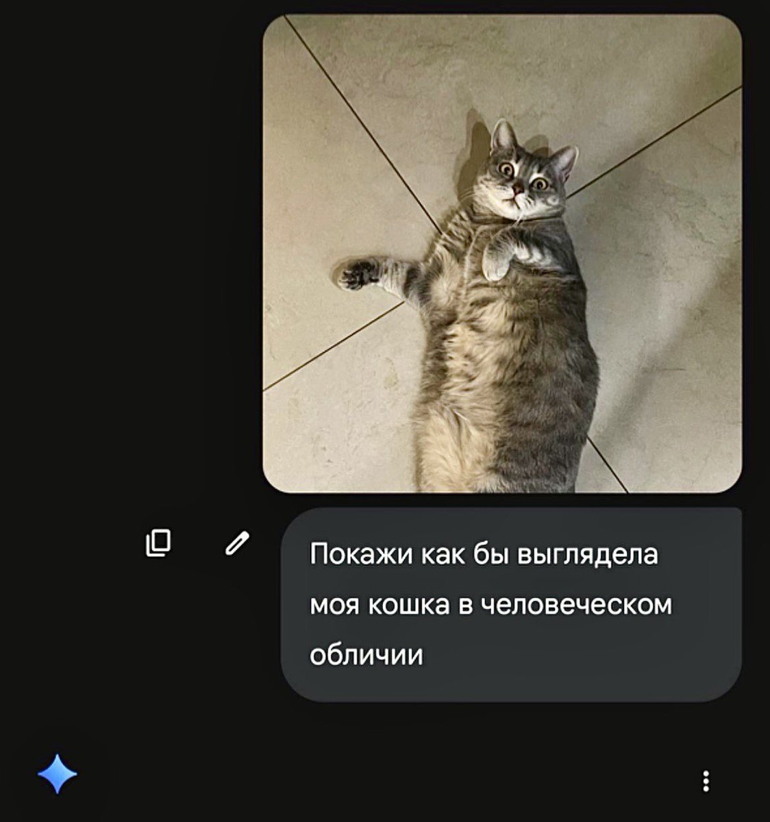 Виталя пишет код tweet media