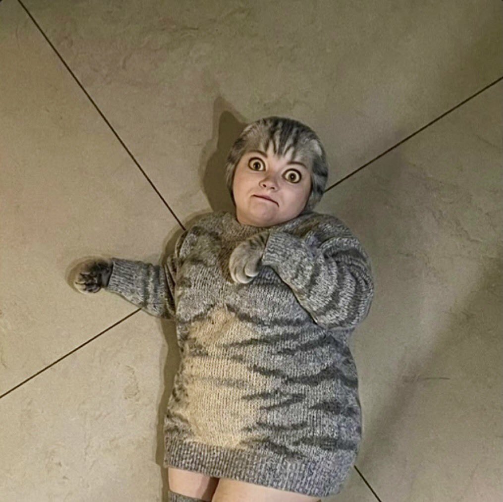 Виталя пишет код tweet media