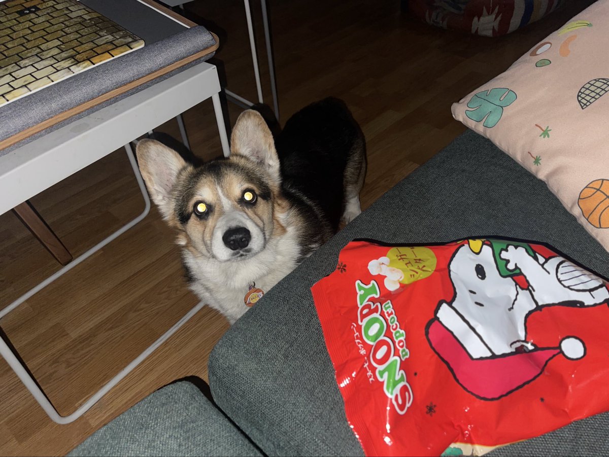 Anyone else up at 3am emptying a bag of Snoopy popcorn upside down into their mouth?