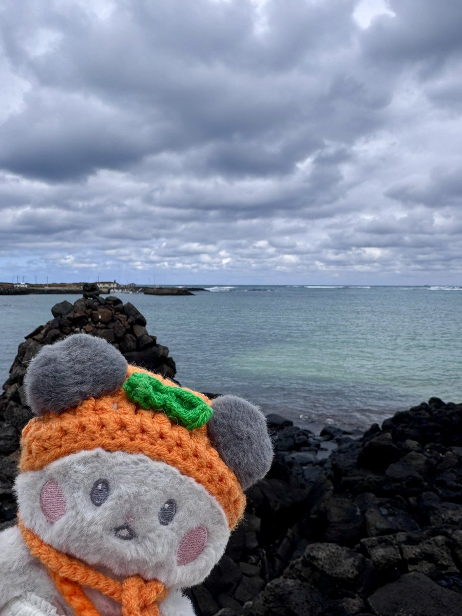 ㅇㅇ🫧 tweet media