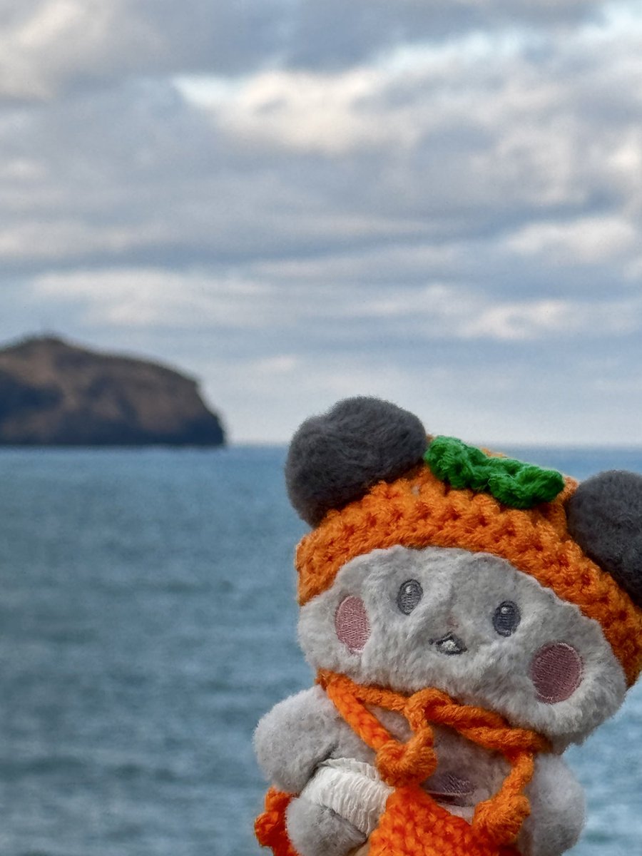 ㅇㅇ🫧 tweet media