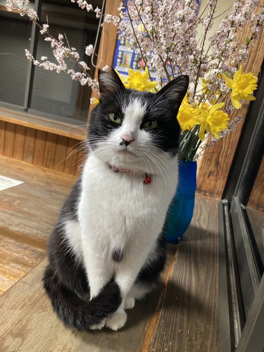 川根温泉ふれあいの泉　【公式】 tweet media