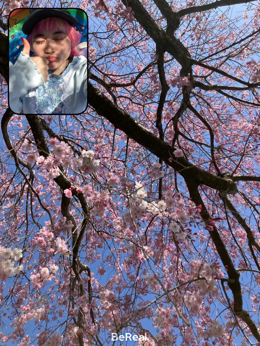 ミイちゃむ公式BeRealはじめたよ‼️⭐️

㊗️ bere.al/mii313iim ㊗️

みんなおともだちになってね🐰🫶🫶🫶

(ダチしかみれなかったBeReal‼️こういうのをあげるよ👇)