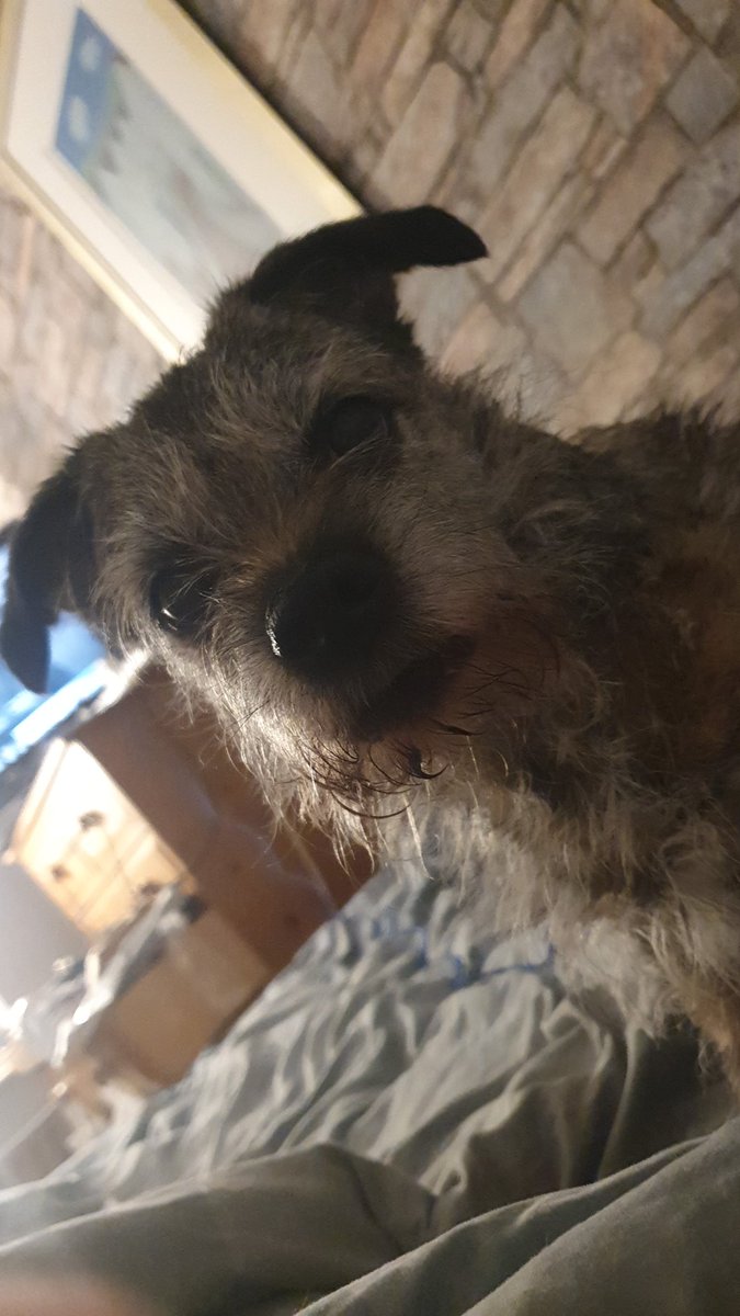 Kevin Winter tweet media