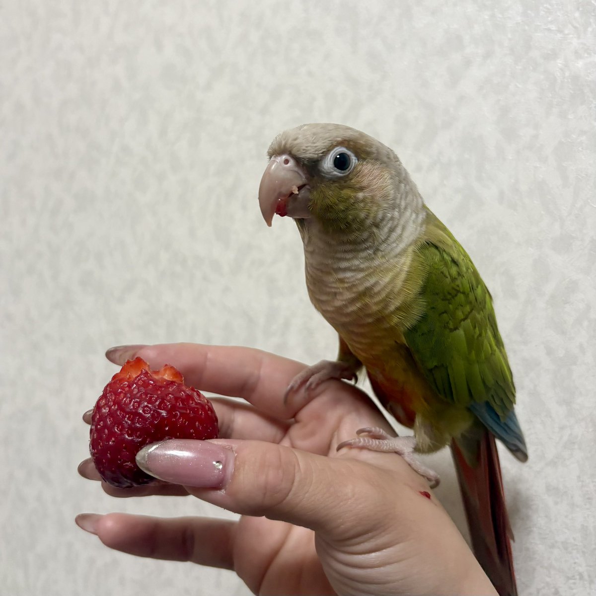 いちご美味しいね🍓
口の横にいっぱい付けててかわい☺️