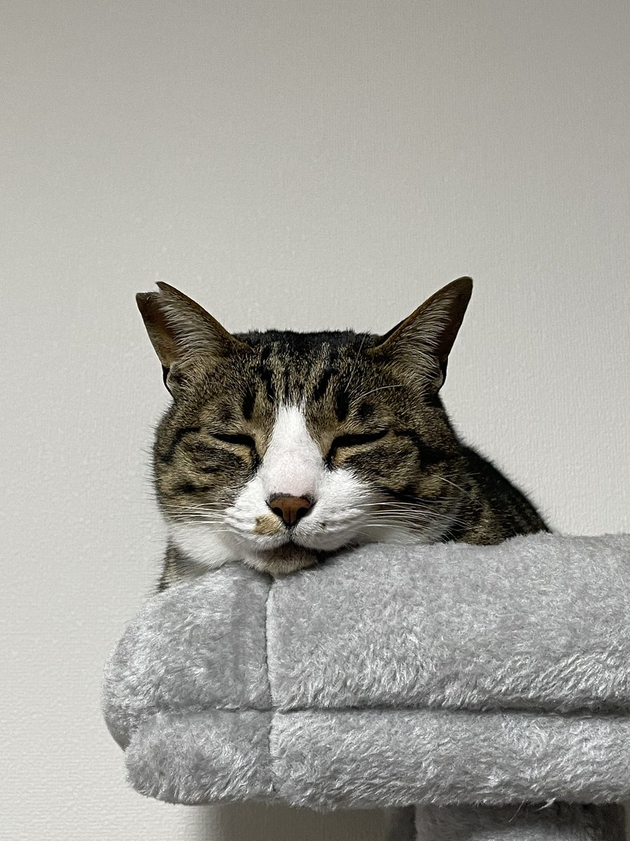 もれそう tweet media