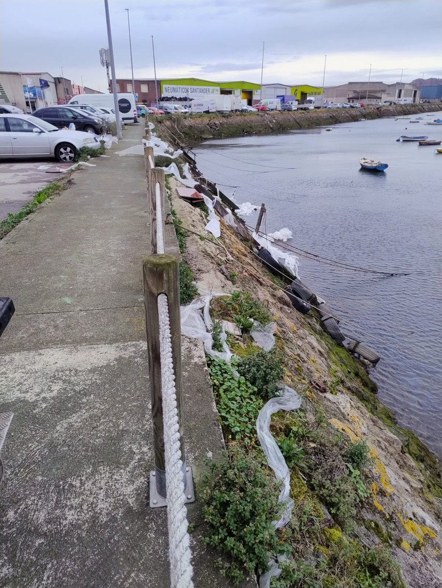 IU Camargo 🇵🇸🔻 tweet media