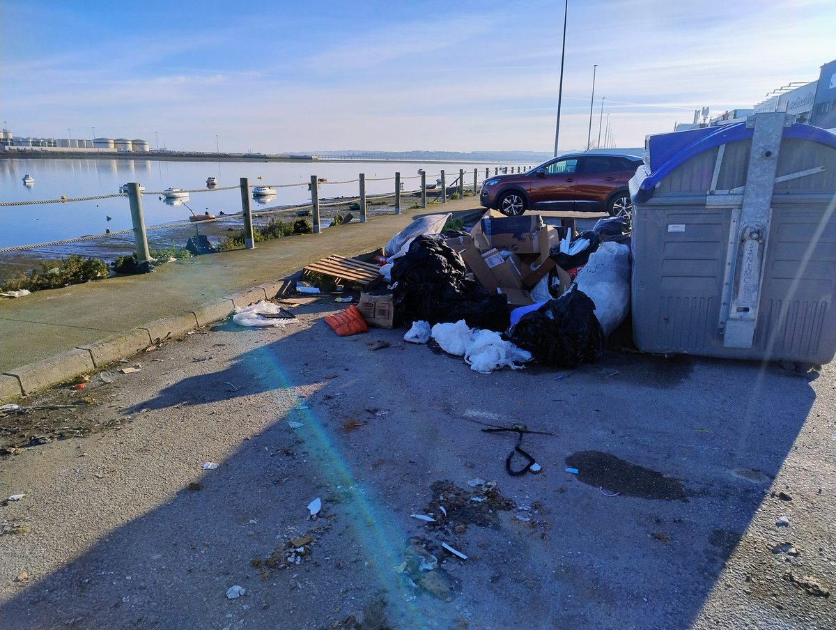 IU Camargo 🇵🇸🔻 tweet media