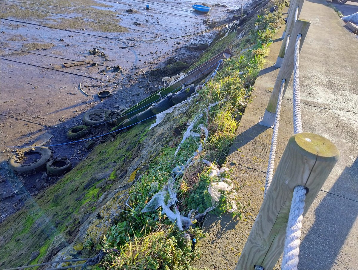 IU Camargo 🇵🇸🔻 tweet media