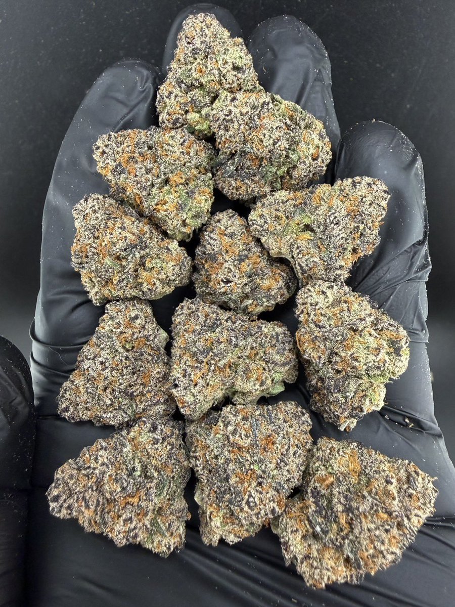 HippieVibe999's tweet photo. Crystal Orchard 🍎✨
Indica 60% Sativa 40%
THC ≈ 25%
Flavors : 🍏 Apple · 🍬 Sweet · 🌿 Herbal · 🌱 Light Earthy
Contact Line➡️ https://t.co/lCmrEBHqs5
#กัญชา #weed #กัญชากรุงเทพ #OG #สายเขียว #cannabis #กัญชาส่งGrab https://t.co/JzvHKD5OeU
