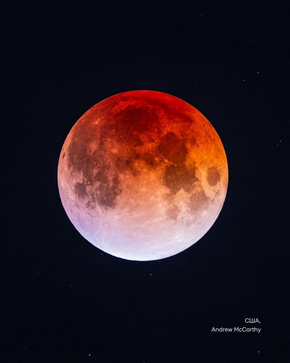 🏆📸 A collection of breathtakingly beautiful photos of the total lunar ...