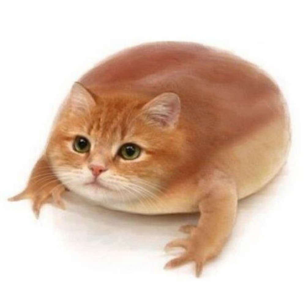 freshytothemoon's tweet photo. "what the cat doing" by what the dog doing dev

$我的貓盾 https://t.co/9it9jH4tsd